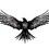 Crow